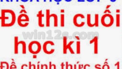 Bộ đề thi học kì 1 môn Khoa học lớp 5 năm 2024 - 2025 (Sách mới)