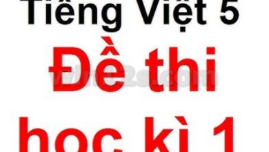 5 Đề thi học kì 1 môn Tiếng Việt lớp 5 sách KNTT, CTST, Cánh diều