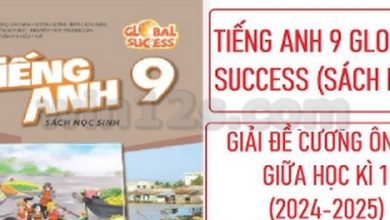 Đề cương ôn thi học kì 1 môn tiếng Anh lớp 9 năm 2024 - 2025 (Sách mới)